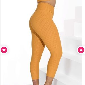 booty by brabants cropped crocos